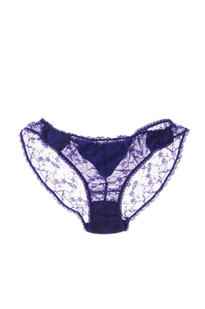 Poppet silk and lace brief by Mimi Holliday workingirls lingerie